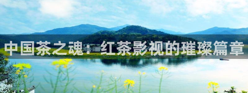 策驰影院安装：中国茶之魂：红茶影视的璀璨篇章