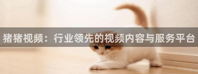 以家人之名免费观看策驰影院：猪猪视频：行业领先的视频内容与服务平台